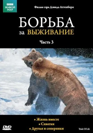 Постер BBC: Борьба за выживание (1990)
