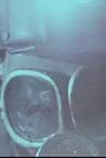 Питер Каупер