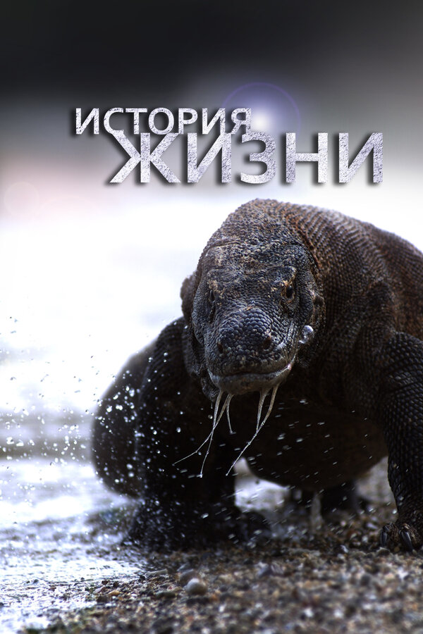 Постер сериала История жизни