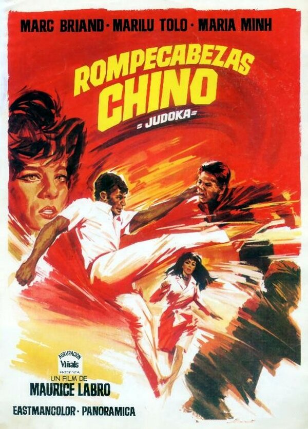 Постер фильма Casse-tête chinois pour le judoka