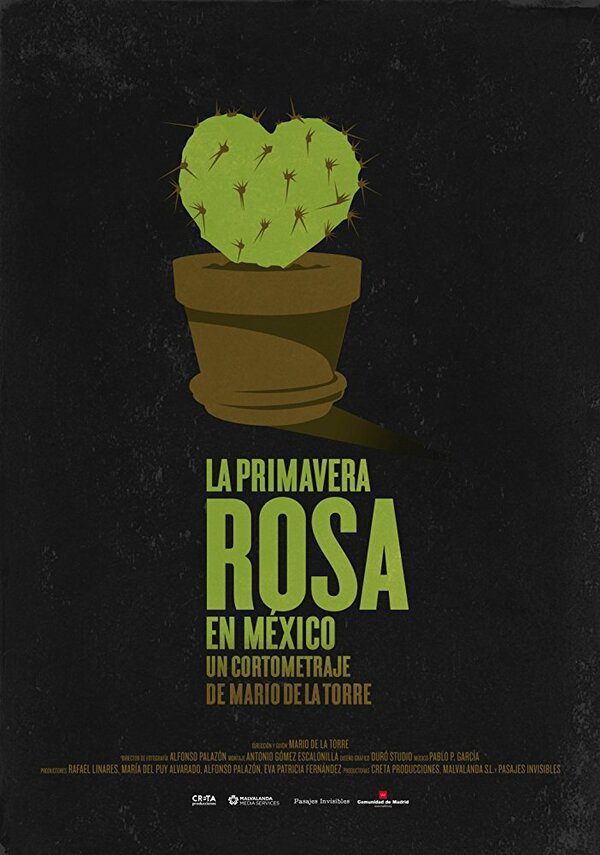 Постер фильма Primavera Rosa en México