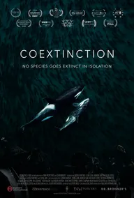 Соисчезновение