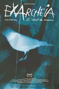 Exarcheia, le chant des oiseaux