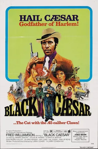 Постер Чёрный цезарь (1973)