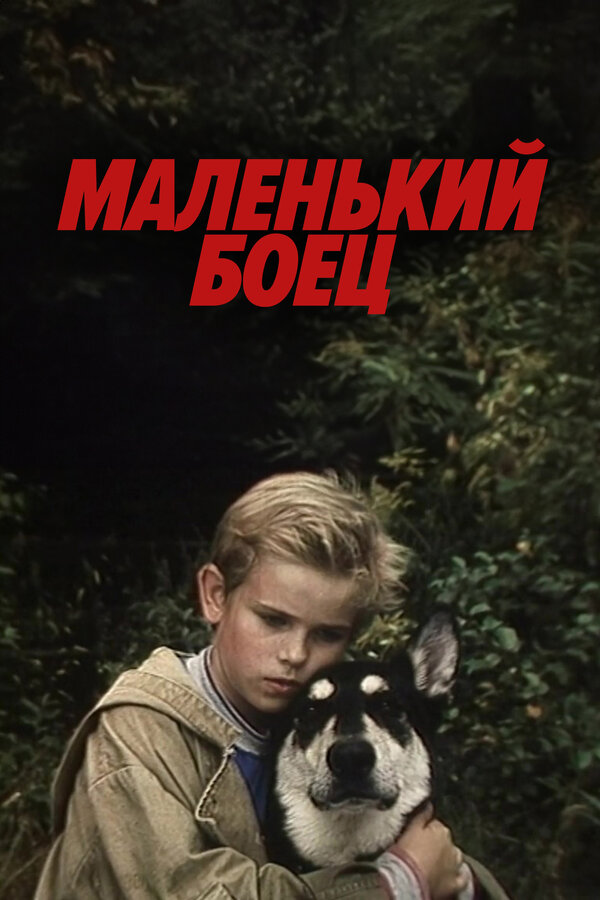 Постер фильма Маленький боец