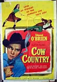 Постер фильма Cow Country