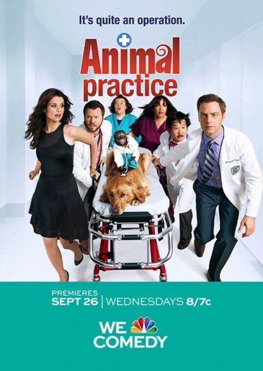 Постер сериала Ветеринарная клиника