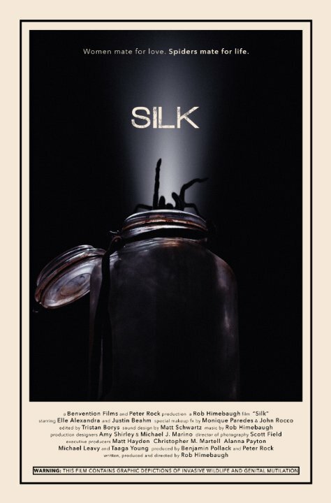 Постер фильма Silk