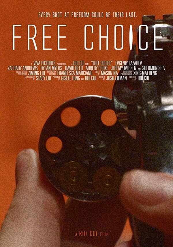 Постер фильма Free Choice