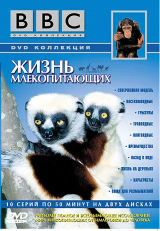Постер BBC: Жизнь млекопитающих (2002)