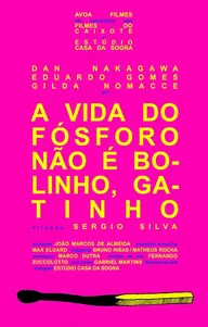 A Vida do Fósforo Não É Bolinho, Gatinho