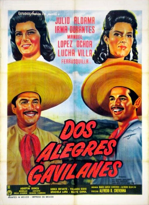Постер фильма Dos alegres gavilanes