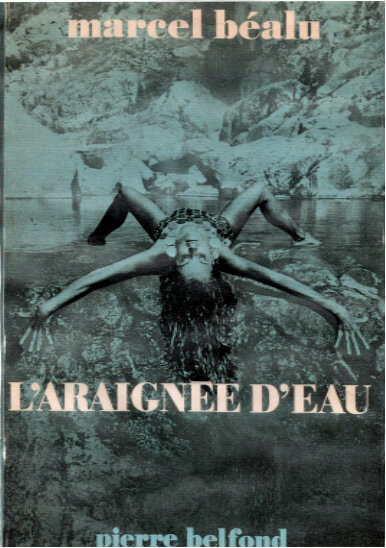 Постер фильма L'araignée d'eau