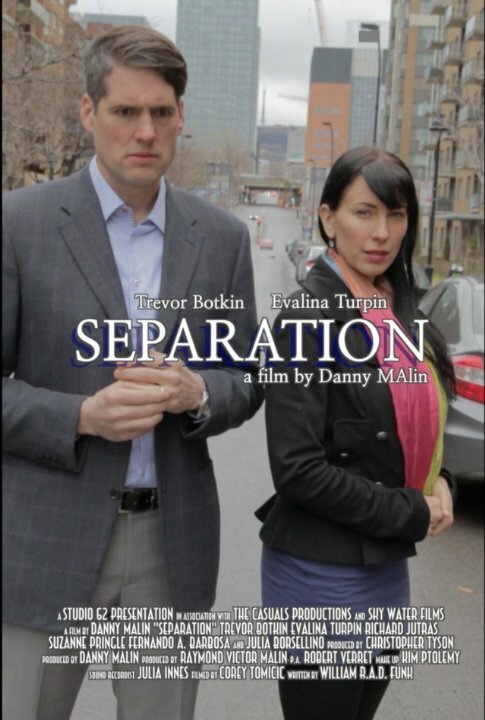 Постер фильма Separation