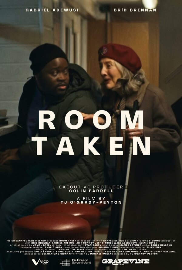 Постер фильма Room Taken