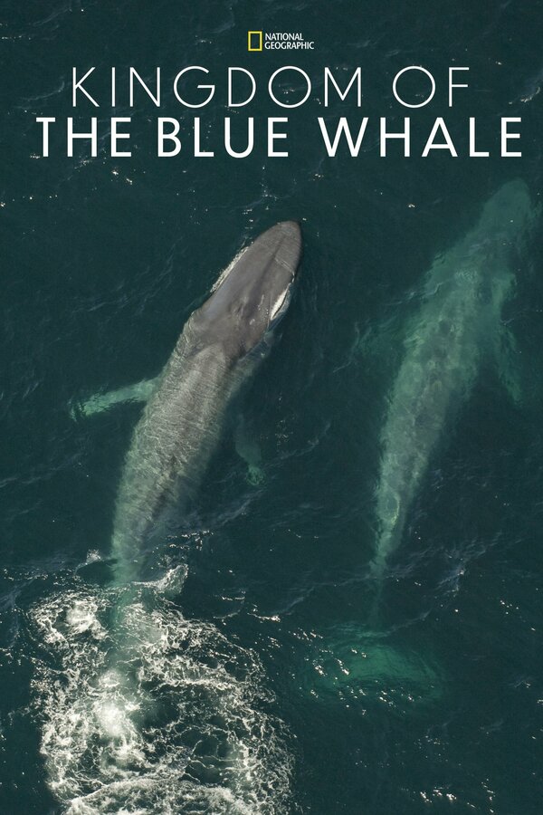 Постер фильма Kingdom of the Blue Whale