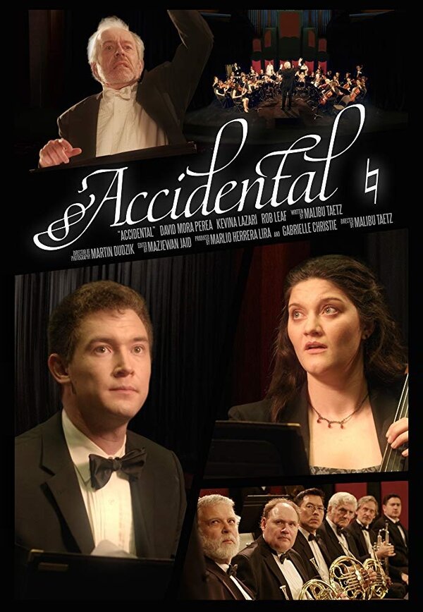 Постер фильма Accidental
