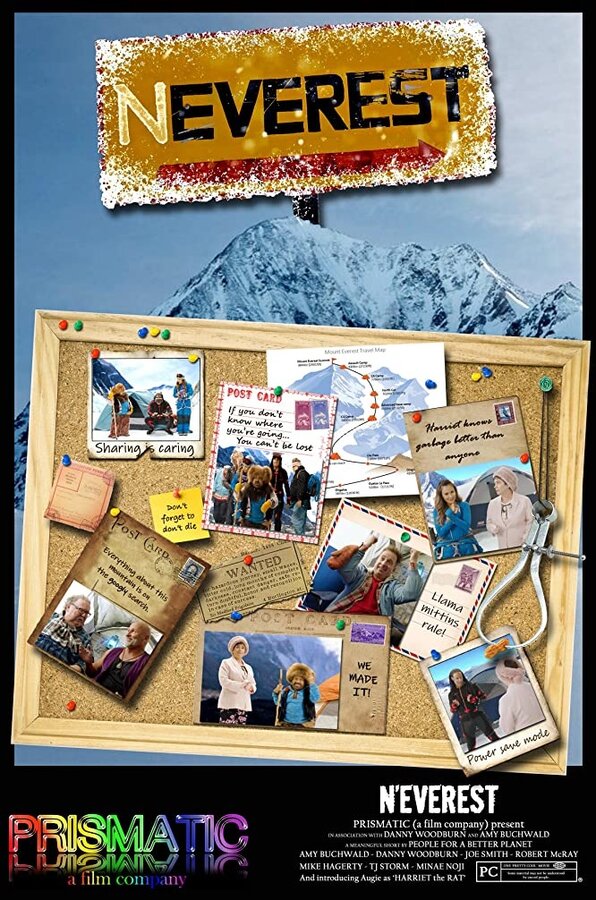 Постер фильма N'Everest