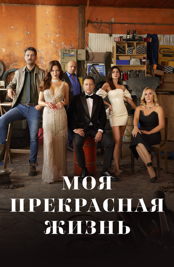 Постер сериала Моя прекрасная жизнь