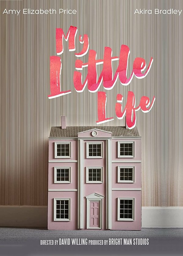 Постер фильма My Little Life
