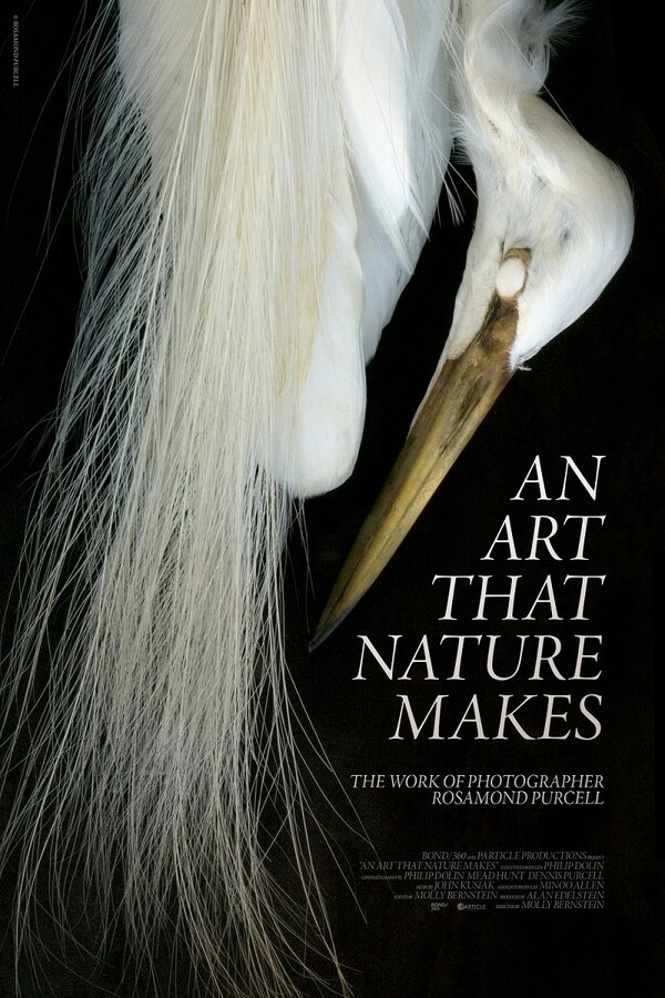 Постер фильма An Art That Nature Makes: The Work of Rosamond Purcell
