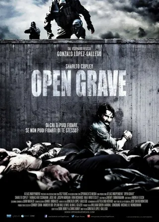 Постер Открытая могила (2013)