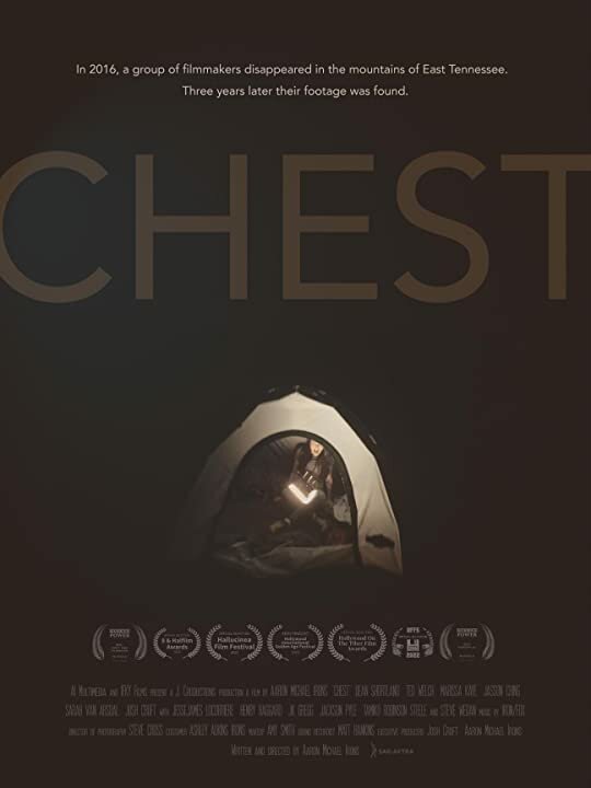 Постер фильма Chest