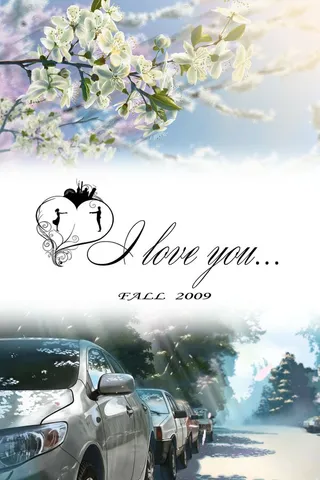 Постер Я люблю тебя... (2010)