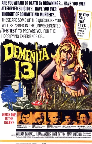 Постер Безумие 13 (1963)