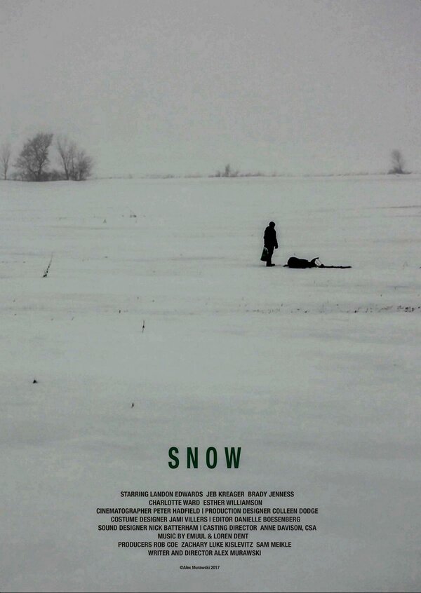 Постер фильма Snow