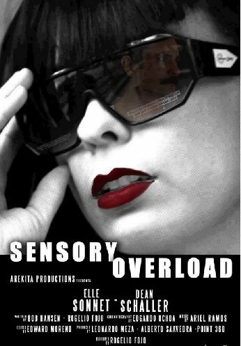 Постер фильма Sensory Overload