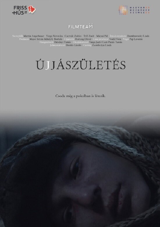 Постер фильма Újjászületés