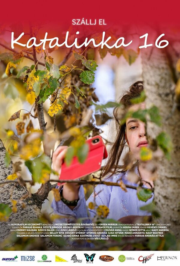 Постер фильма Katalinka 16