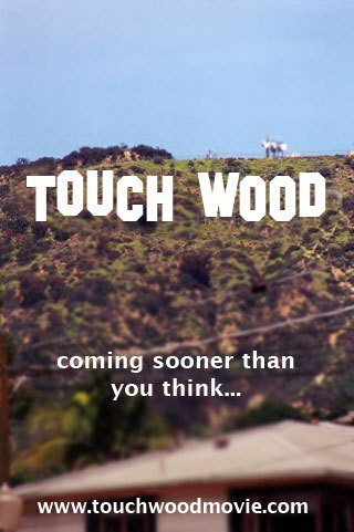 Постер фильма Touch Wood