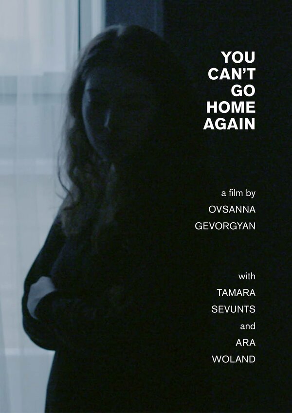 Постер фильма You Can't Go Home Again
