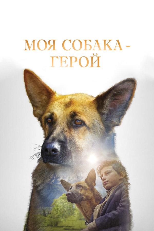 Постер фильма Моя собака — герой