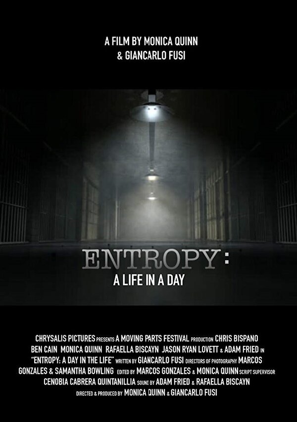 Постер фильма Entropy: A Day in a Life