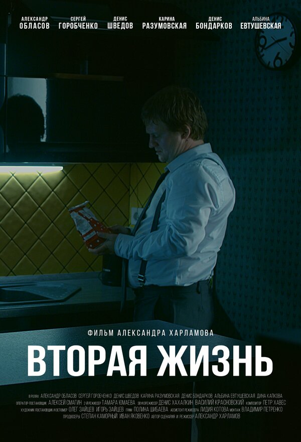 Постер фильма Вторая жизнь