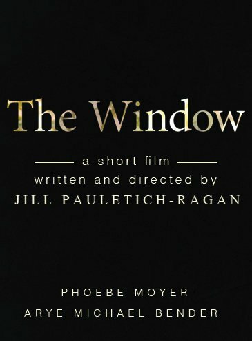 Постер фильма The Window