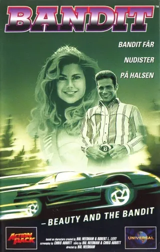 Постер Красавица и бандит (1994)