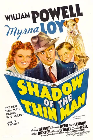 Постер Тень тонкого человека (1941)