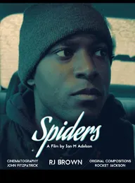 Spiders