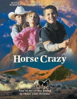 Постер Дикая лошадь (2001)