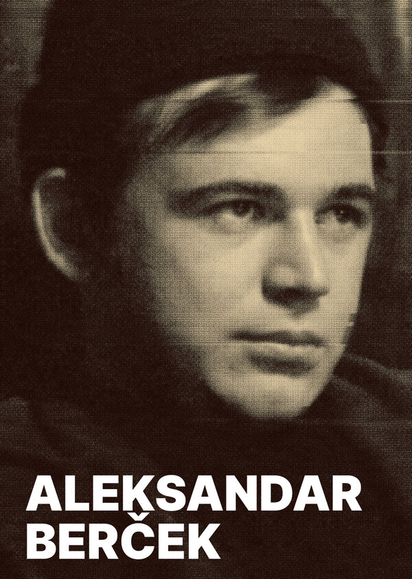Постер фильма Aleksandar Bercek - filmska ostvarenja