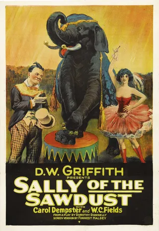 Постер Салли из опилок (1925)