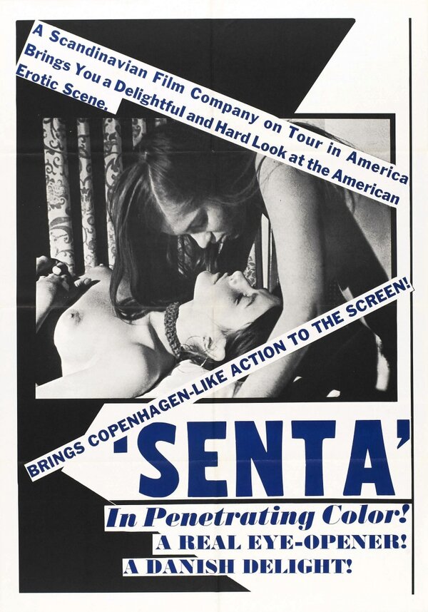 Постер фильма Senta