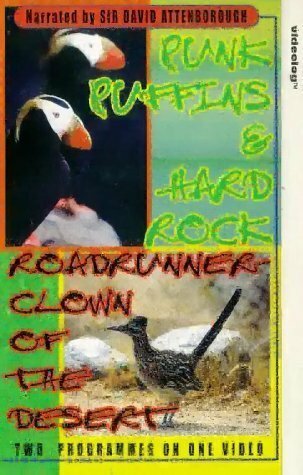 Постер фильма Roadrunner