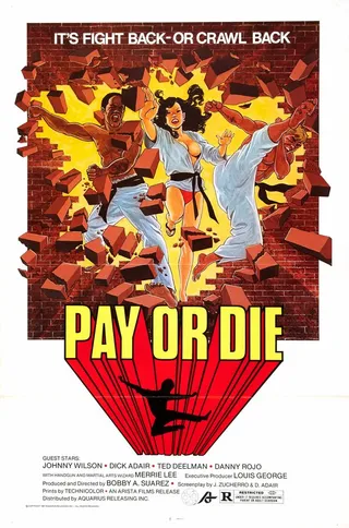 Постер Плати или умри (1979)