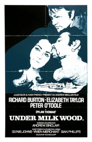 Постер Под сенью млечного леса (1971)