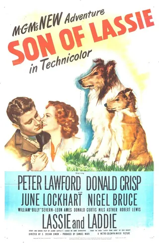Постер Сын Лесси (1945)